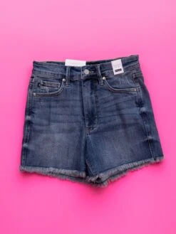 Judy Blue High Waist Tummy Control Fray Hem Shorts | S-3X