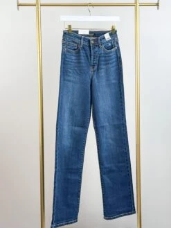 Judy Blue High Waist Hidden Button Fly Dad Jeans | 0-24