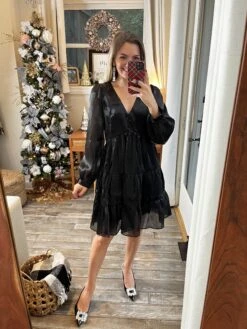 Organza Babydoll Mini Dress| S - L *Final Sale*