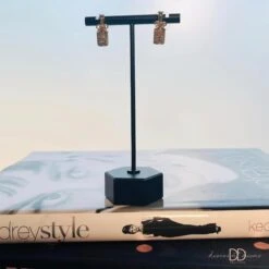 Champagne Bottle Earrings